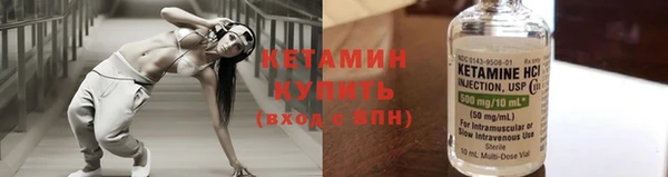 стаф Тайга