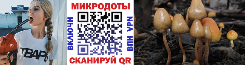 купить наркотик  Пикалёво  ОМГ ОМГ tor  Псилоцибиновые грибы ЛСД 